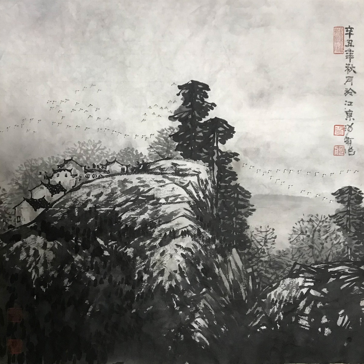 沙舸作品：作品